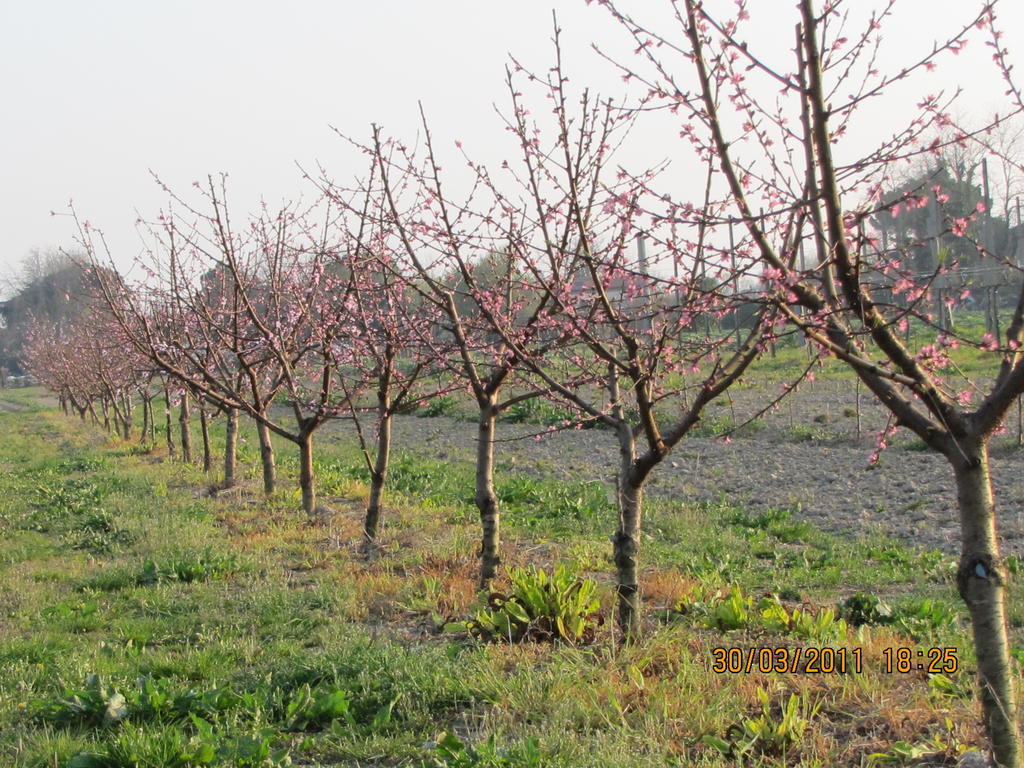 Agriturismo Ca' Baccan Cavallino-Treporti Ngoại thất bức ảnh
